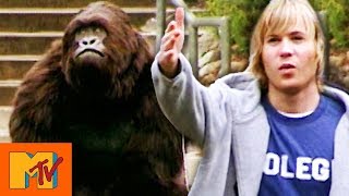 &quot;I Think I&#39;m Gonna Throw Up&quot;: Ashley Parker Angel Is Attacked By A Gorilla | Punk&#39;d