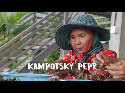 , title : 'Nejlepší pepř na světě! Kampot'