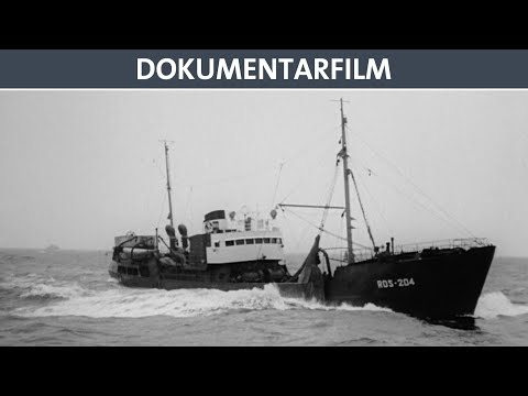 Vom Alex zum Eismeer - Doku (ganzer Film auf Deutsch) - DEFA