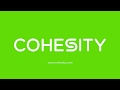 VMware Instant Mass Recovery - Cohesity Demo