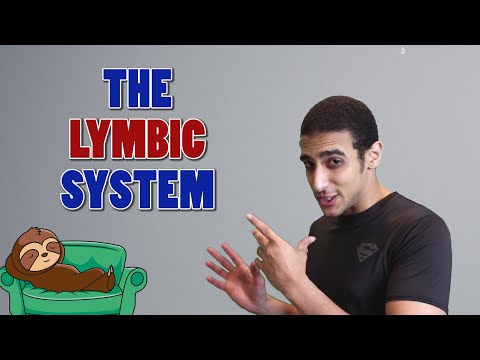 The Limbic System