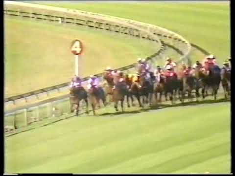 1988 Stradbroke Hcp (Elders Hcp)