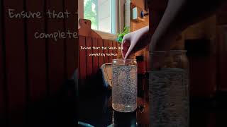 How to soak chia seeds in water #shorts