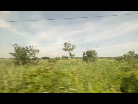 Relaxing Amtrak Ride ASMR Style