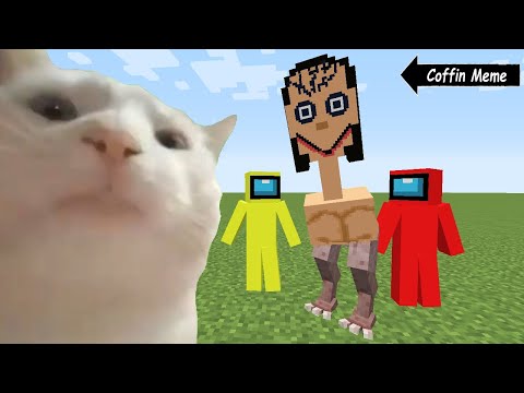Real Momo but Cat is Vibing - Minecraft