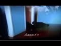 Dinoco S All Mine Upgraded Version Cats Ukrainian Language