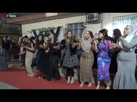 Eyşoke Halayı 2024 Süper Halay Çekiyorlar