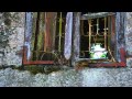 Grouper - Living Room 