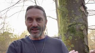 Meditation Monday – The Golden-Rainbow Fire and (Brief) Ascension Update