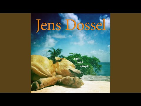 Perfect Company - Jens Dossel
