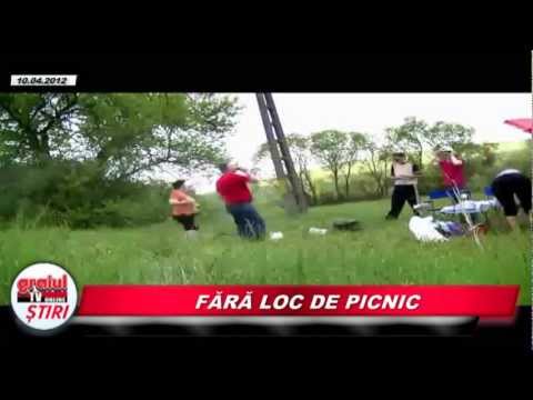 FARA LOC DE PICNIC