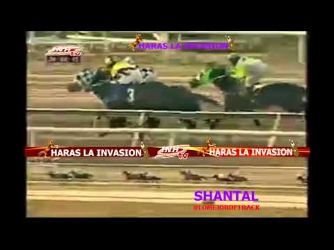 LA RINCONADA 7 CARRERA, DOMINGO 24 DE MAYO DEL 2015