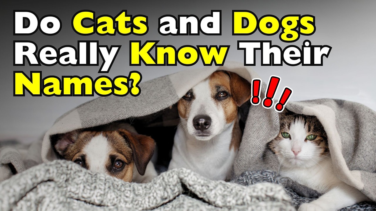 How Do Cats and Dogs Recognize Their Names? [ID0610]