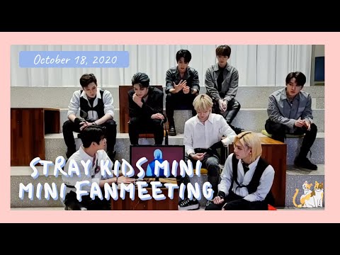 [Stray Kids OT8 Live] 201018 Stray Kids Mini Mini Fanmeeting