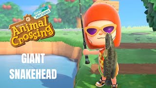 Animal Crossing: New Horizons: How To Catch A GIANT SNAKEHEAD (Bells, Time, Location)