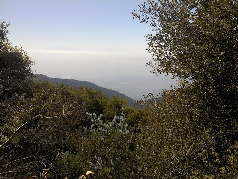 Ryan Dawson on kill stream