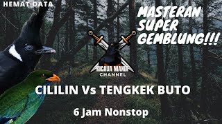Download lagu MASTERAN SUPER GEMBLUNG, CILILIN Vs TENGKEK BUTO 6 Jam || Kicau Mania Channel mp3
