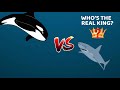 Orca vs Great White Shark - Who’s the Real King of the Oceans?