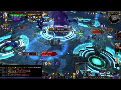 BiS vs Sha of Pride 25m HC (shadow priest pov)