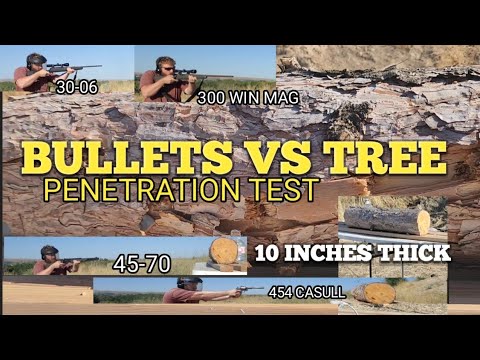 Bullets vs. A 10 inch Tree. 30-06, 300 win mag, 45-70, 454 casull vs 10 inch thick ponderosa pine. 