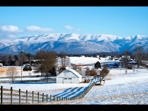 Angie P - Cincinnati OH  Lunch Bunch Speaker Meeting - Greeneville, TN  4/12/2023