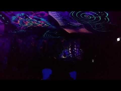 Ziqada @ Treibholz X - 2018 - 2/3