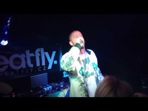 STEPPA STYLE - JUNGLE REBEL (TOUR 2011 LIVE IN OPAVA)