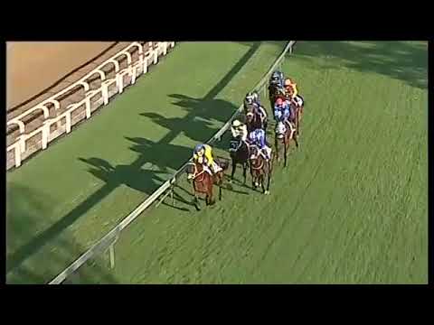 2019.06.01 Daily News 2000 (RSA) - Hawwaam