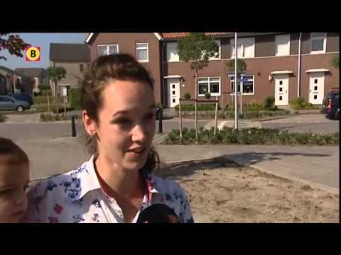 Man aangehouden die kakkerlakken losliet in Etten-Leur