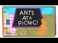 How Do Ants Find Food? | Animal Science for Kids
