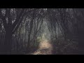 CHRISTIAN DEATH "erection" (acoustic intro)