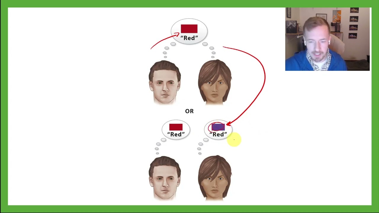 PSYC 101: Chapter 4: Consciousness, Sleep, Dreams, Drugs, and Split-Brains