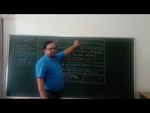 RamEesh Group of Institutions Greater Noida General video thumbnail 3