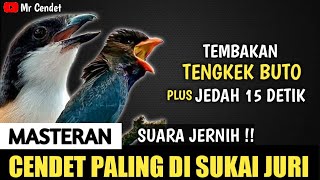 Download lagu TEMBAKAN TENGKEK BUTO PLUS JEDAH 15 DETIK || MASTERAN CENDET PALING DI SUKAI JURI !! mp3 Download lagu TEMBAKAN TENGKEK BUTO PLUS JEDAH 15 DETIK || MASTERAN CENDET PALING DI SUKAI JURI !! mp3