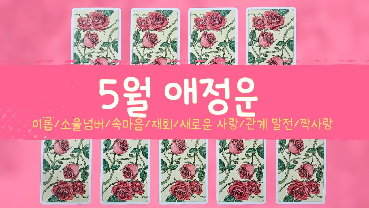[타로/애정] 5월 연애운/이름/소울넘버/새로운 사랑/관계 발전/재회/속마음/짝사랑