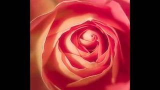 If i could turn back the hands of time R Kelly