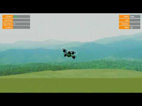 Flight Training - Line of sight - Varied practice