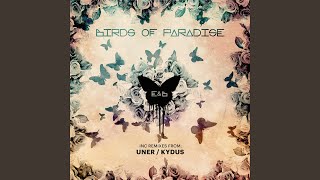 Birds of Paradise (Uner Remix)