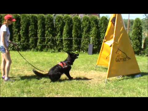 Grace z Jukasu - protection - 11,5 months