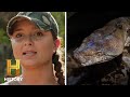 18 FOOT LONG SERPENT Strikes Again Swamp People Serpent Invasion Season 3