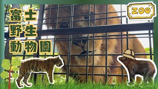 【東京近郊EP4】此生必來！富士野生動物園✨超近距離接觸猛獸、高潮迭起興奮滿滿！