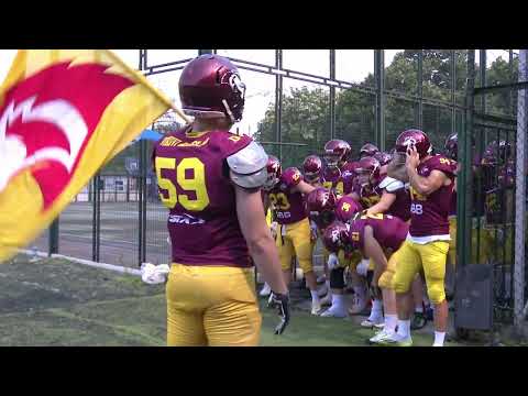 SBB Vukovi Beograd vs Blue Dragons Beograd 08.06.2024.- Arena Sport Prva liga Srbije: