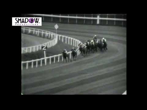 Vain   Golden Slipper