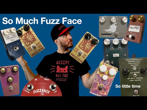 A discussion and comparison of SOME of my fuzz face style pedals!