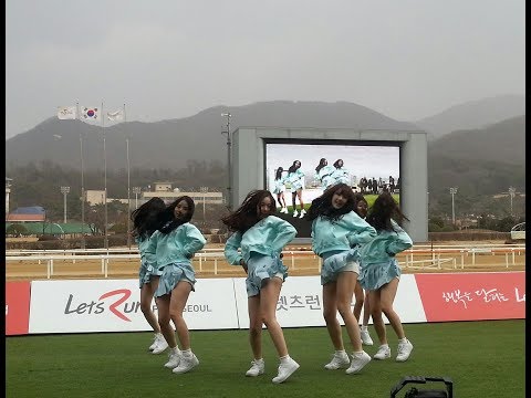 Seoul Racecourse park, South Korea