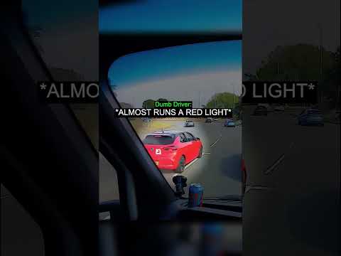 Driver Witnesses Absolute Chaos on the Road