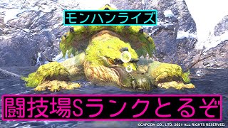 闘技場やる【モンハンライズ】アーカイブ残さないかも