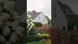 White Flower Farm Tour #garden