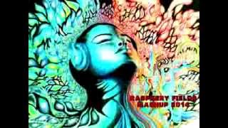 Raspberry Fields Mashup