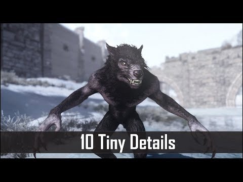 Skyrim: Yet Another 10 Tiny Details That You May Still Have Missed in The Elder Scrolls 5 (Part 24)